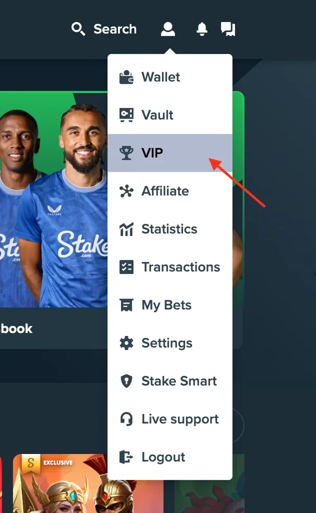 Stake account menu with VIP highlighted.